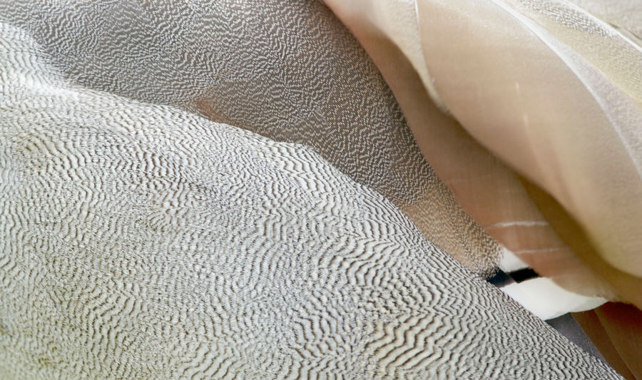 Folded cloth